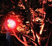 LED градински прожектор, червен цвят, 500 lm, LUXULA 
