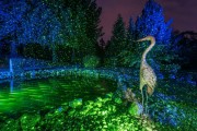 Многоточков зелен лазер, градинска декорация, Luхula
